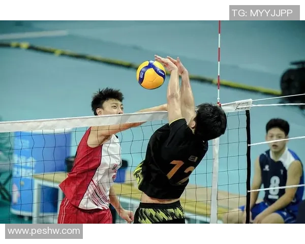 重庆排球队实力崛起荣登全国排球实力排行榜第十名