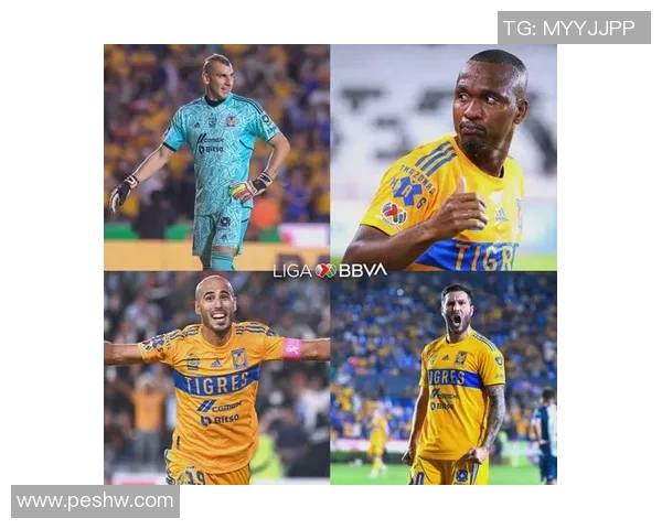 墨西哥足球明星数量揭秘及其在国际赛场上的影响力分析